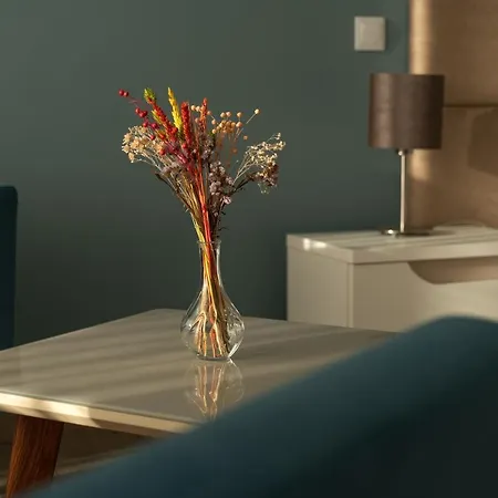 Silverside Holidays بيت ضيافة 4*